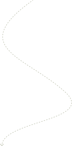 History shape01