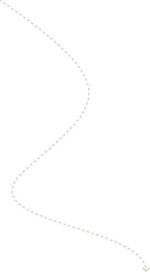 History shape02