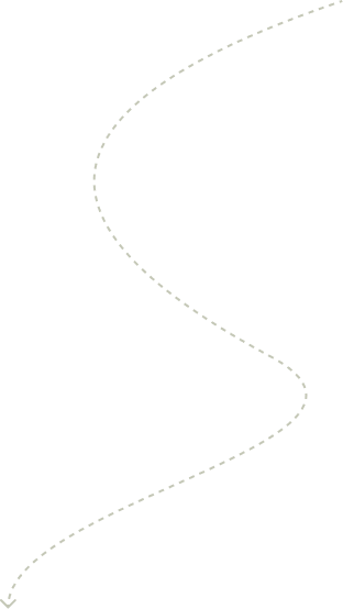 History shape03