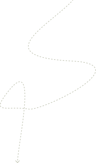 History shape04